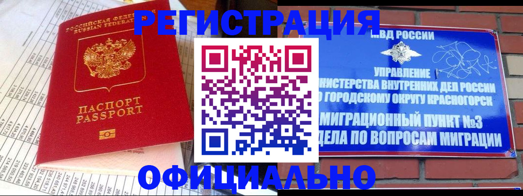 прописка поиск в Пушкино